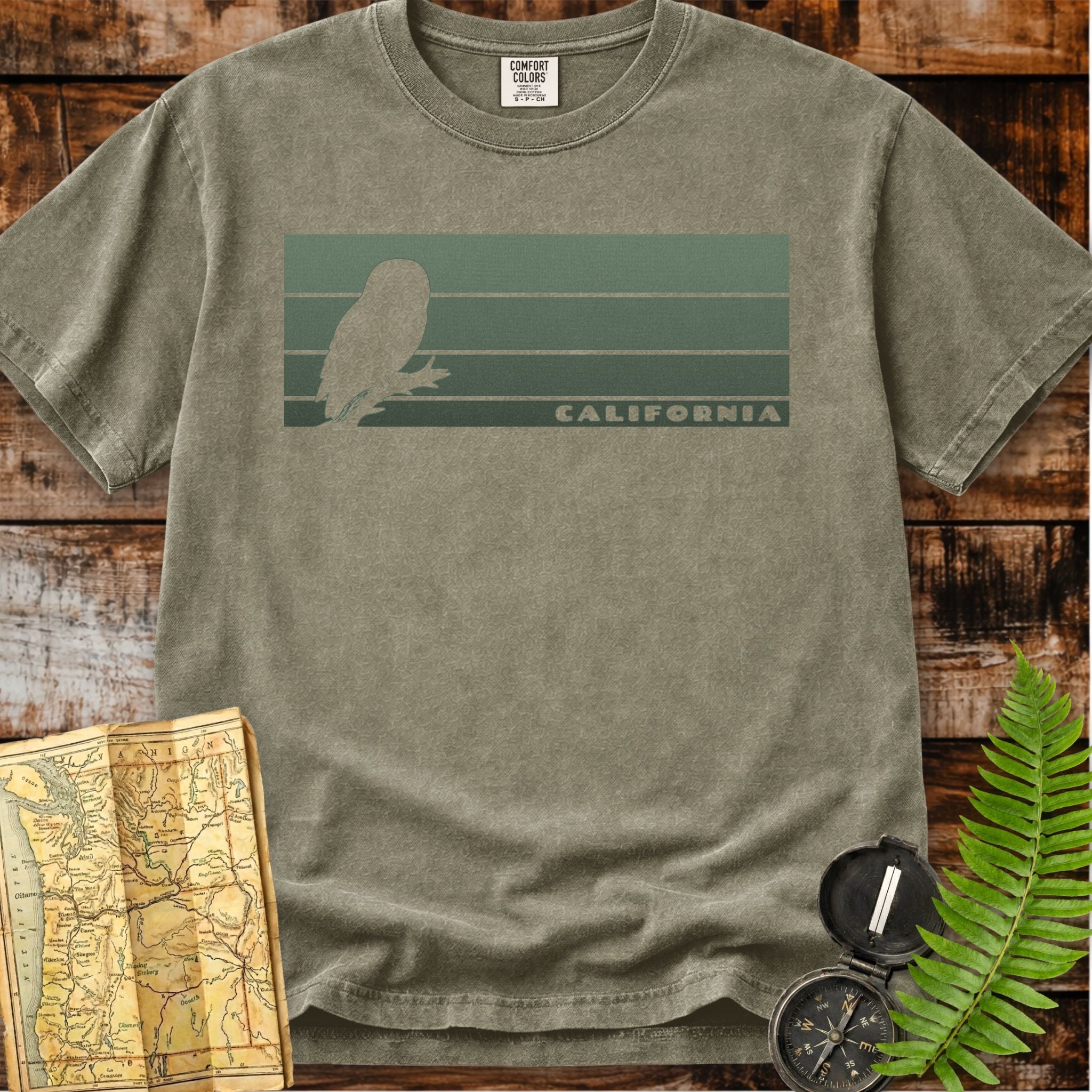 California | Spotted Owl T-Shirt