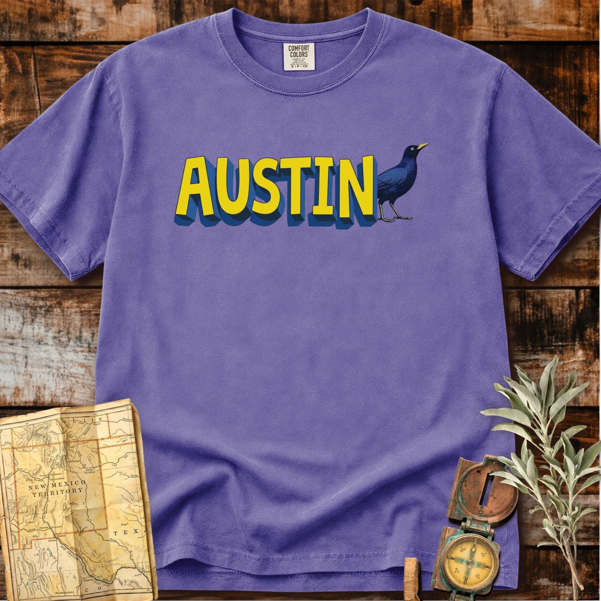 Austin Texas | Grackle Bird T-Shirt