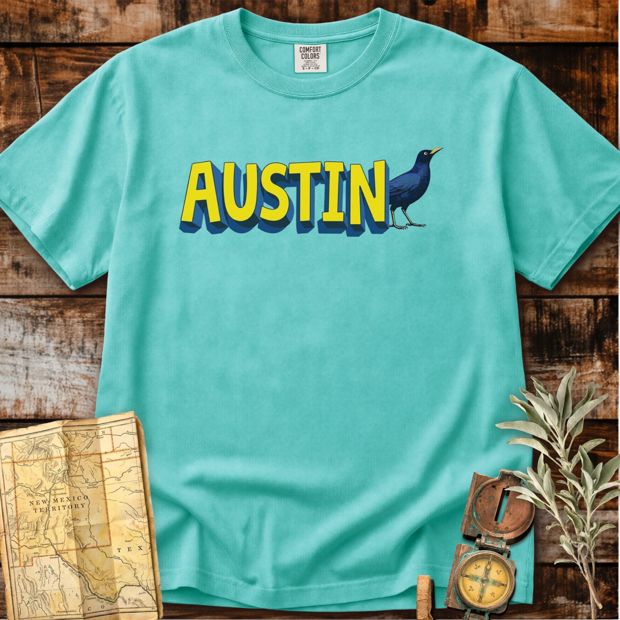 Austin Texas | Grackle Bird T-Shirt