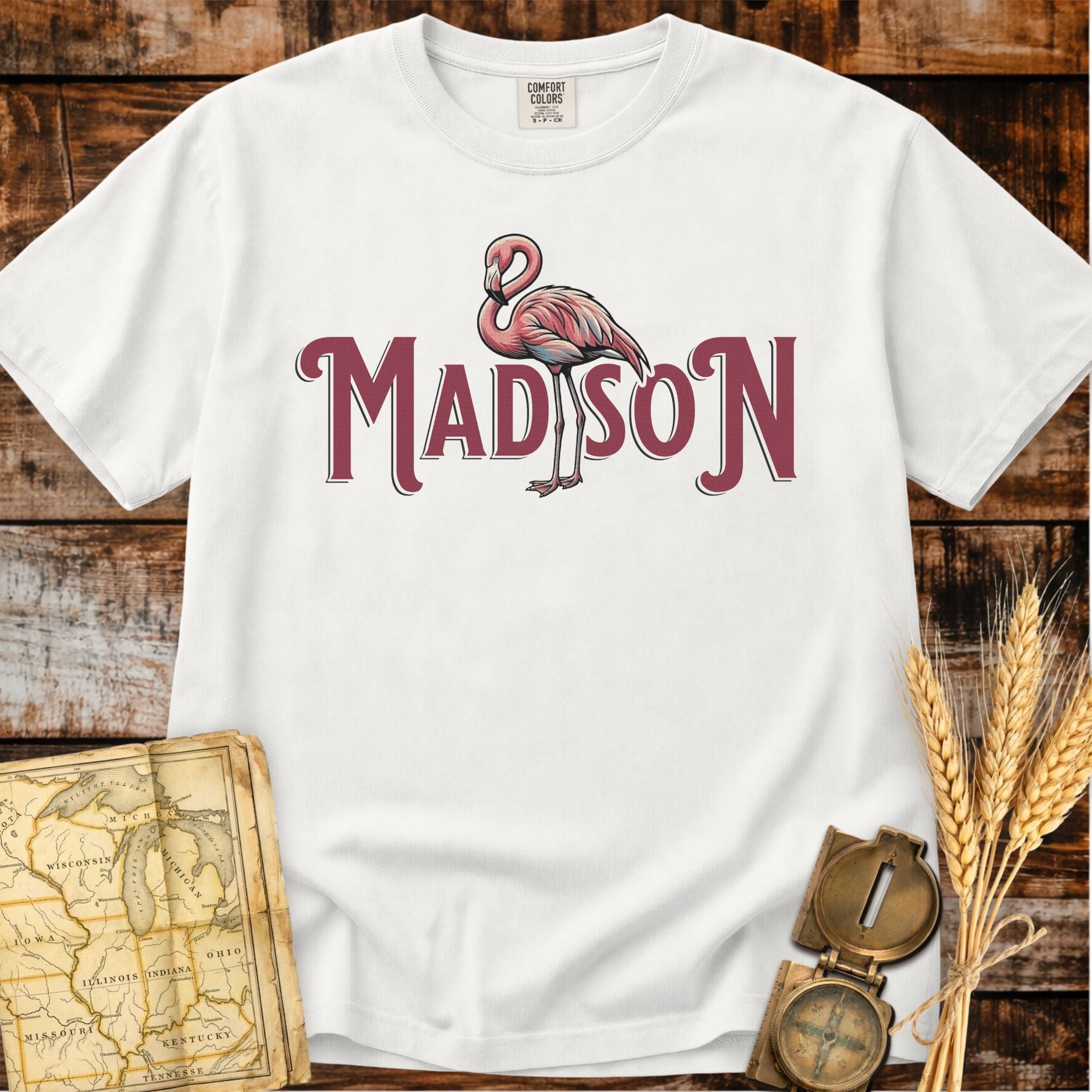 Madison Wisconsin | Pink Flamingo T-Shirt