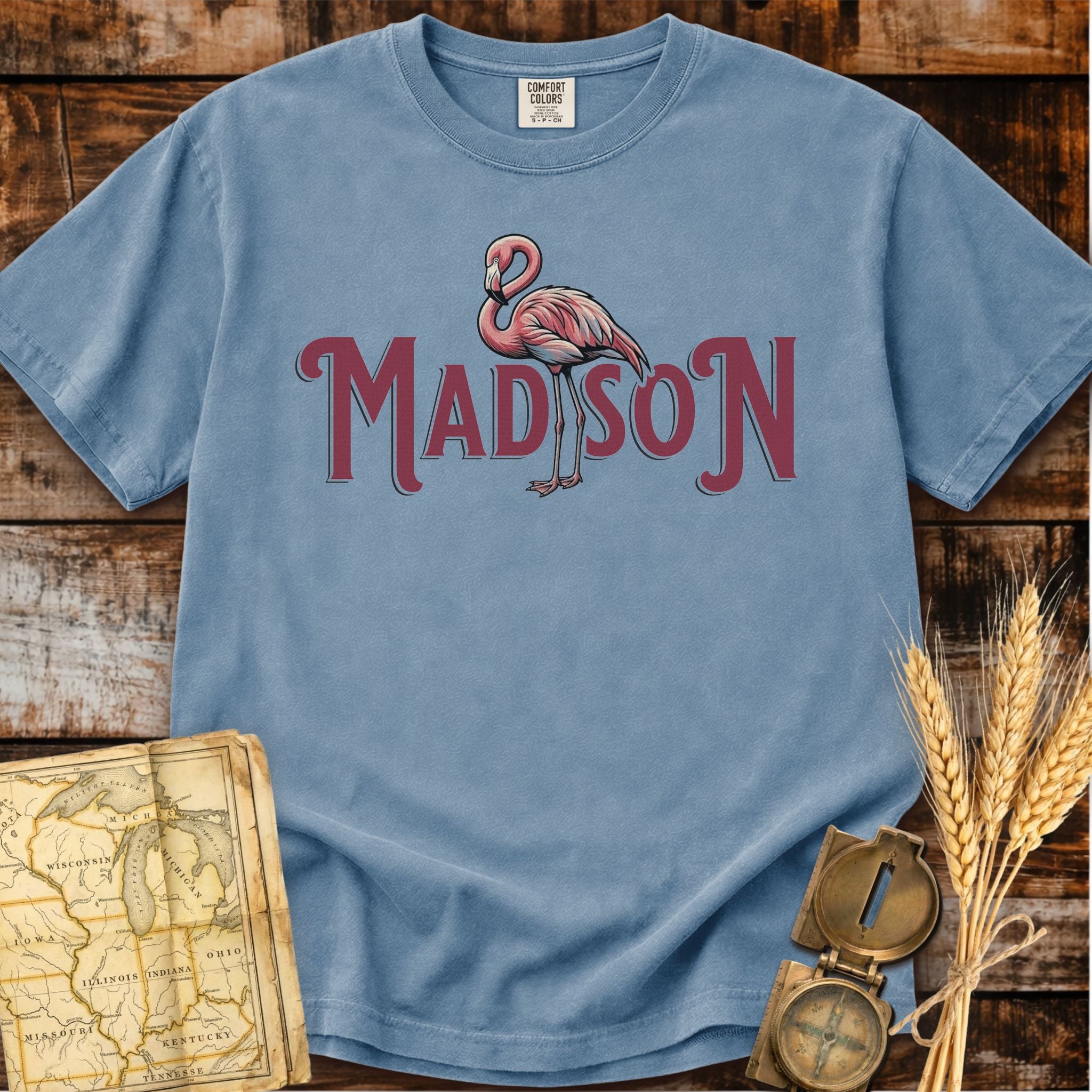 Madison Wisconsin | Pink Flamingo T-Shirt